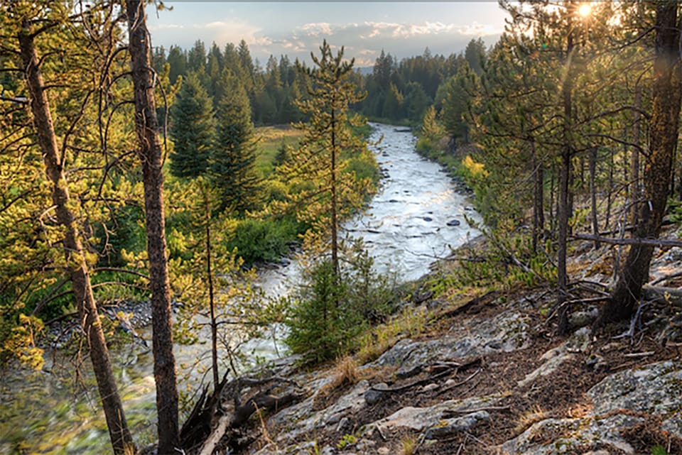 Excellent fly fishing out your back door late June through mid-Sept. 