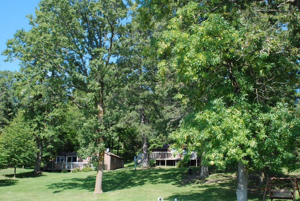 This cabin is on the right in this photo.  nestled in the trees with lake  view