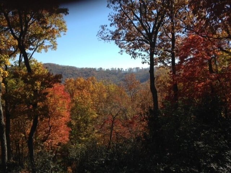 Autumn 2014