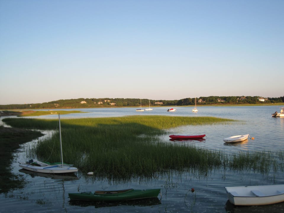 Blackfish Creek at Pleasant Point