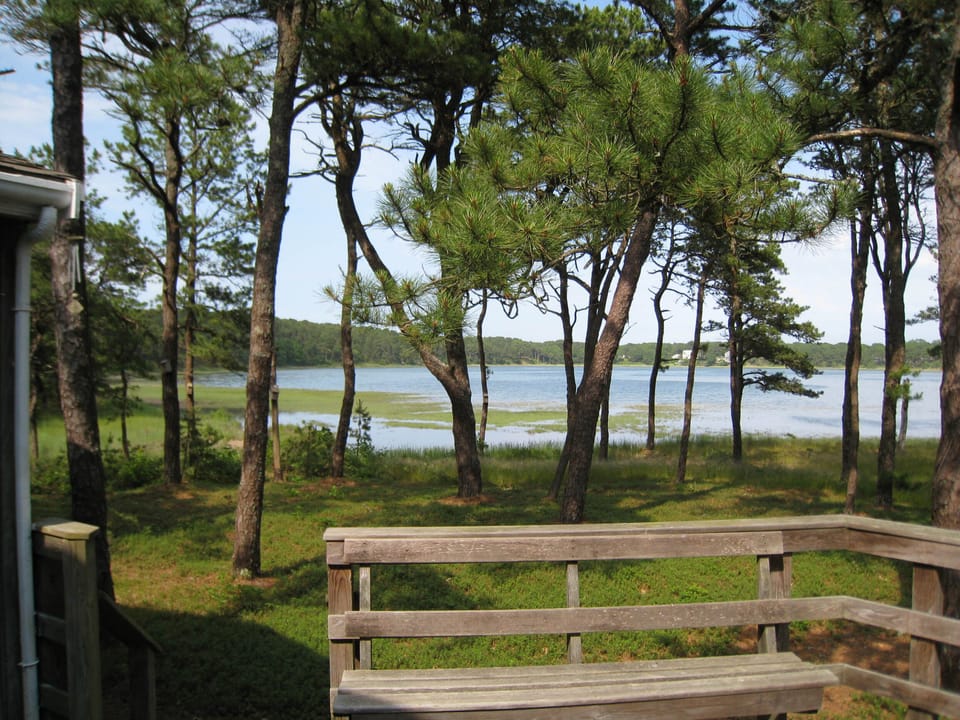 View from the Deck
