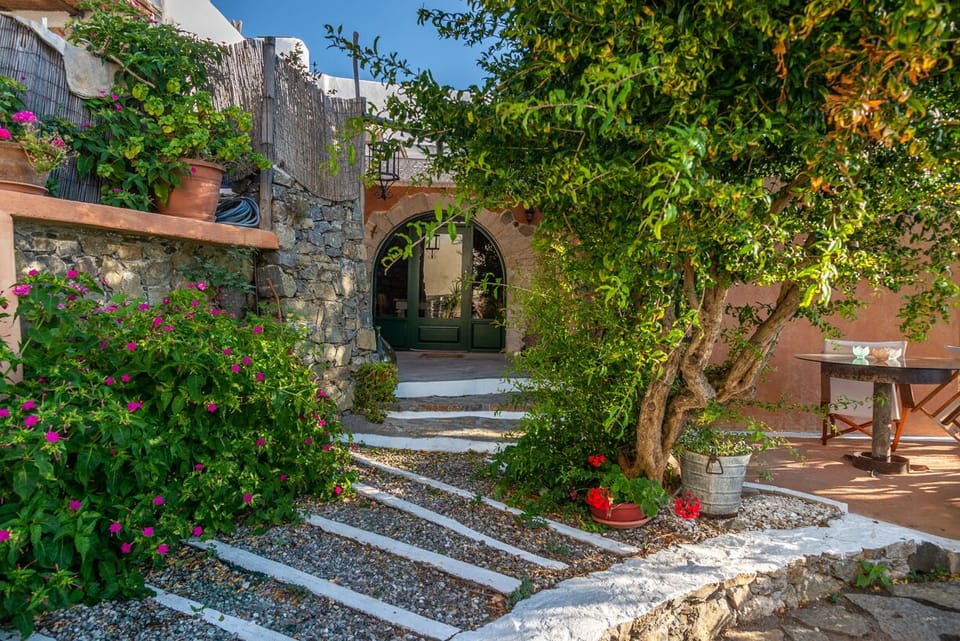 House entrance with old pomegranate tree dominating the terrace