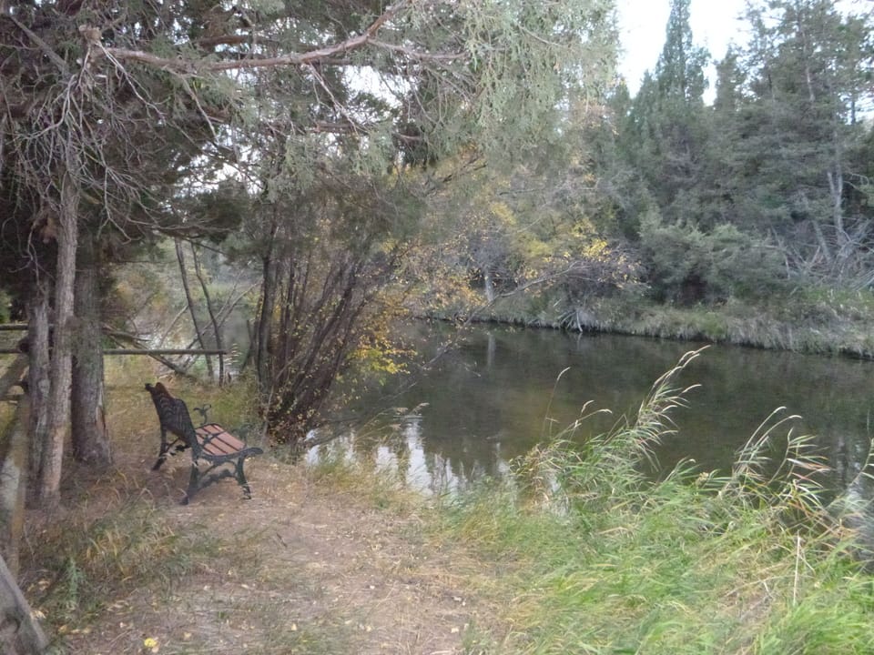 Bench overlooking the slough