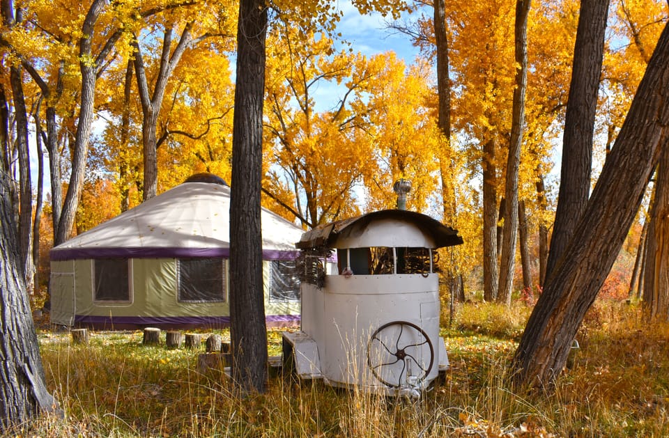 We have the composting toilet in an old Horse Trailer with Grove Yurt behind.