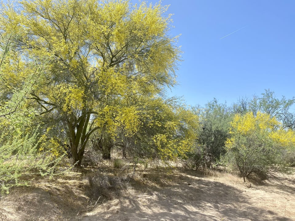 Go for hikes or just take a walk here on the property 