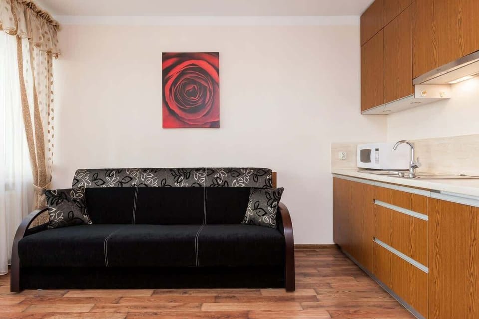 The dark sofa bed next to the kitchenette is the perfect space for a comfortable stay.