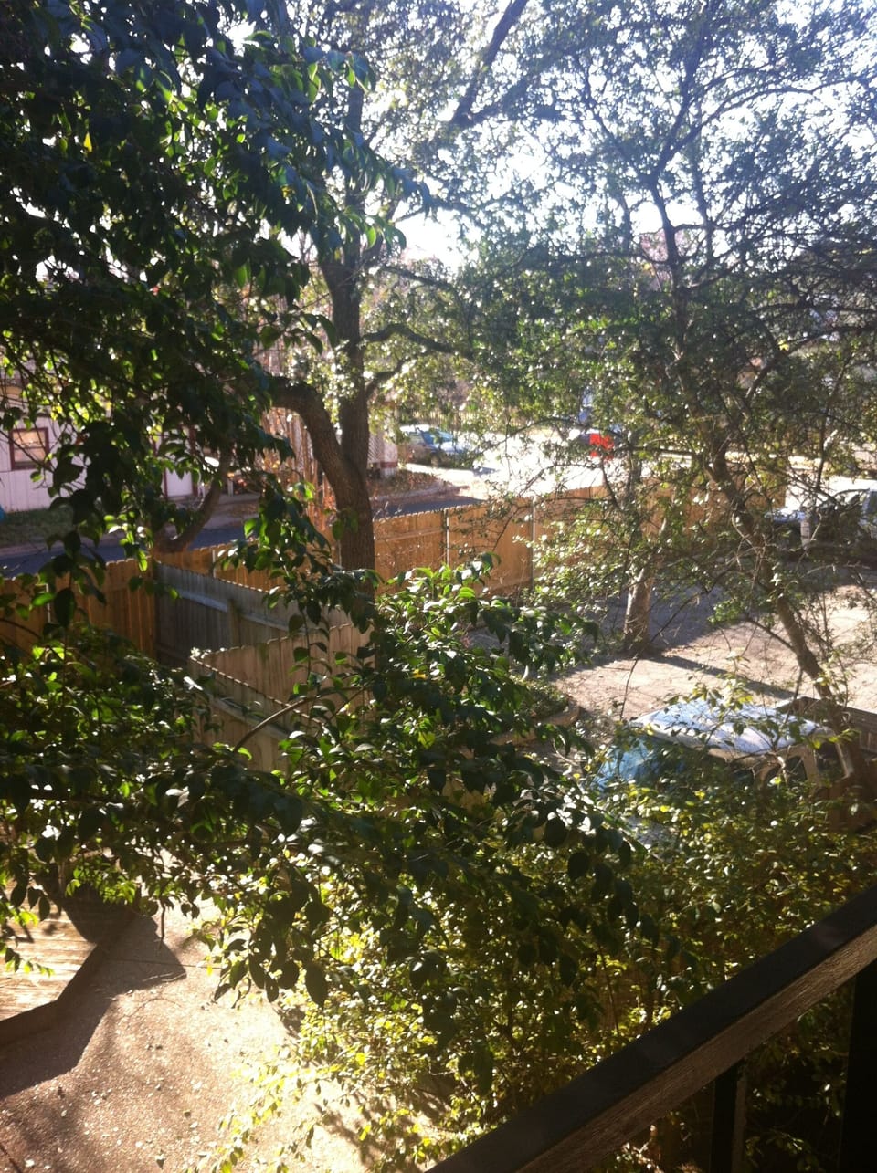 Scene from the front door