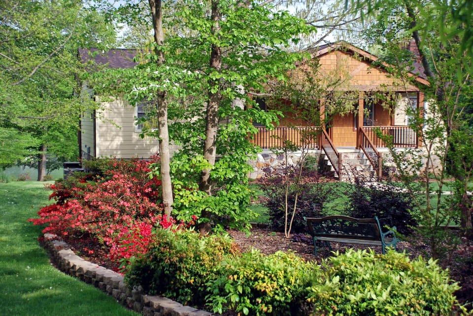 Springtime brings pretty azelias and cherry tree blossoms.