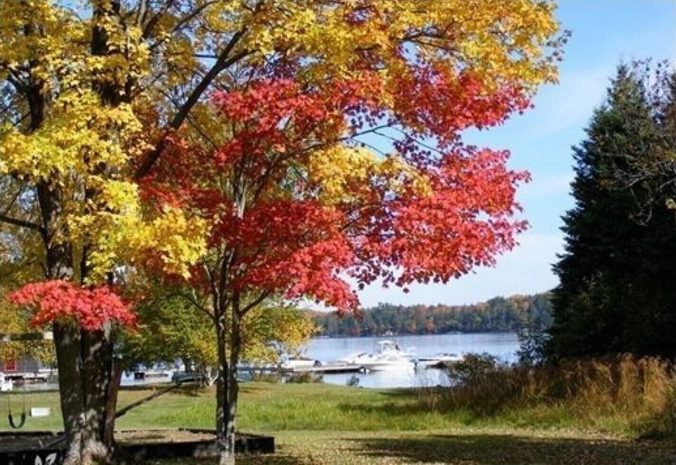 Autumn colours looking to beach and docks