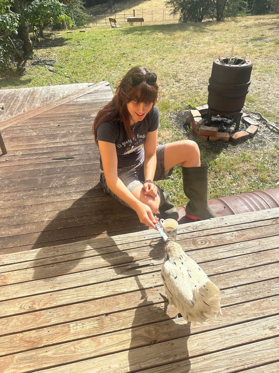 Feeding and patting the animals