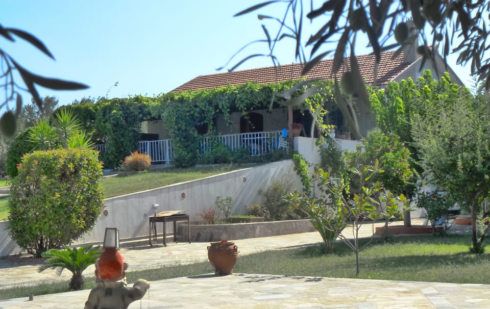 the house
