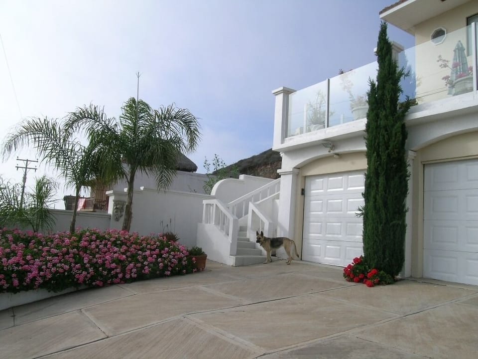 Driveway with palm trees and flowers