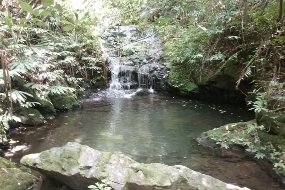 Waterfall andamp; swimming hole for experienced trampers
