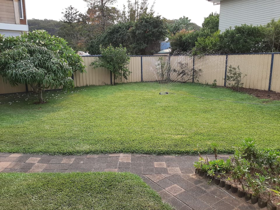 The cottage's backyard.
