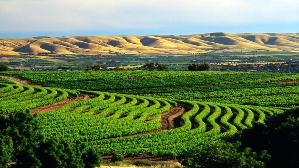 15 minutes to the McLaren Value wine region