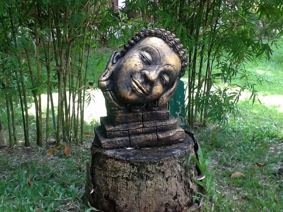 Welcome to Thailand. We hope you have a wonderful holiday here at Coconut River