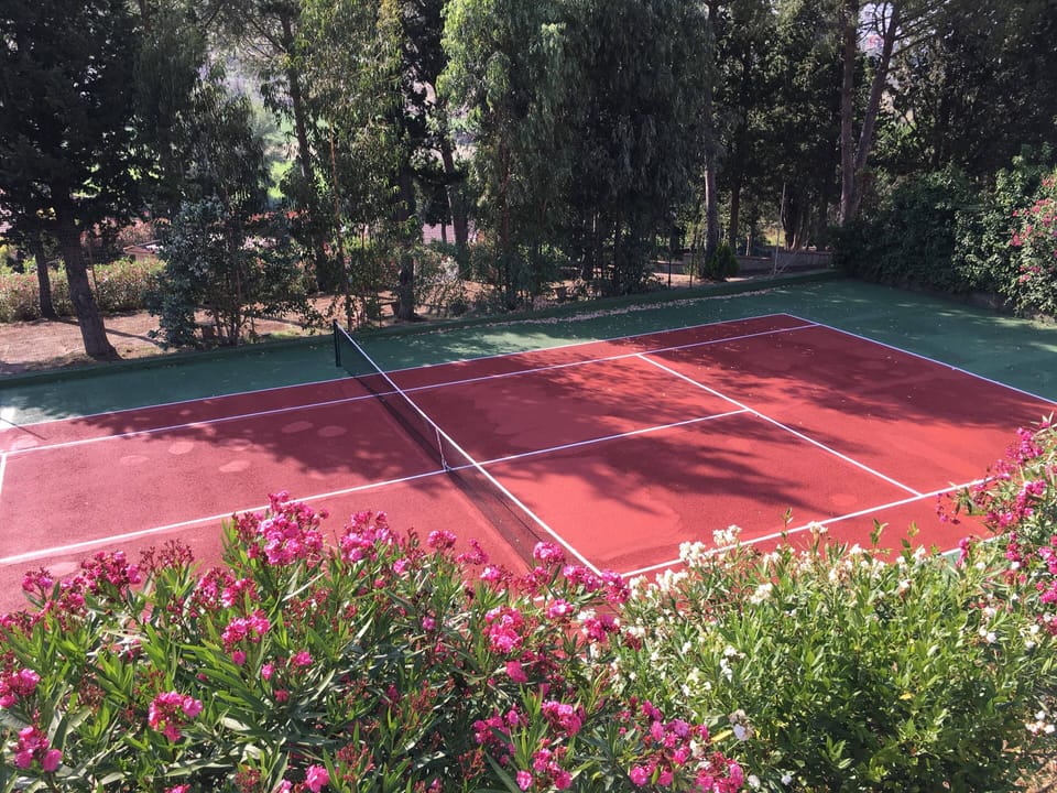 Sport court