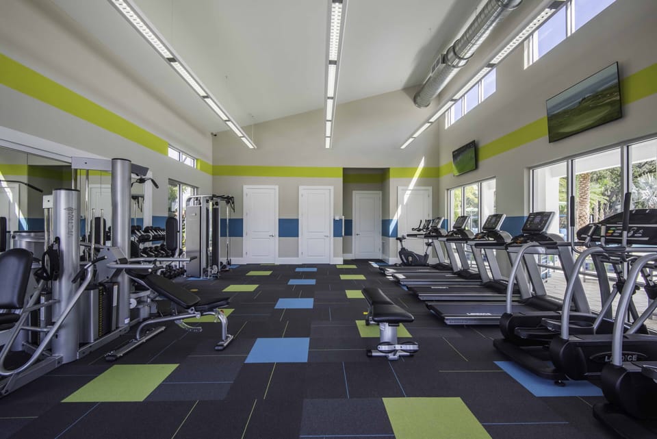 State of the art Gymnasium