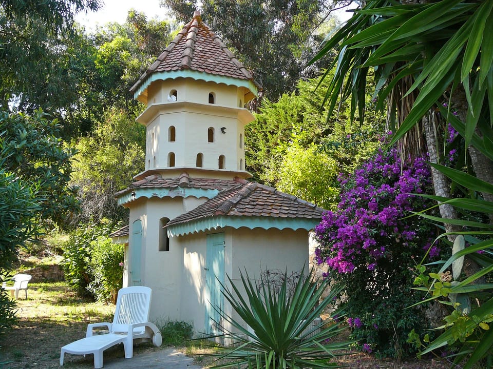 Back garden
