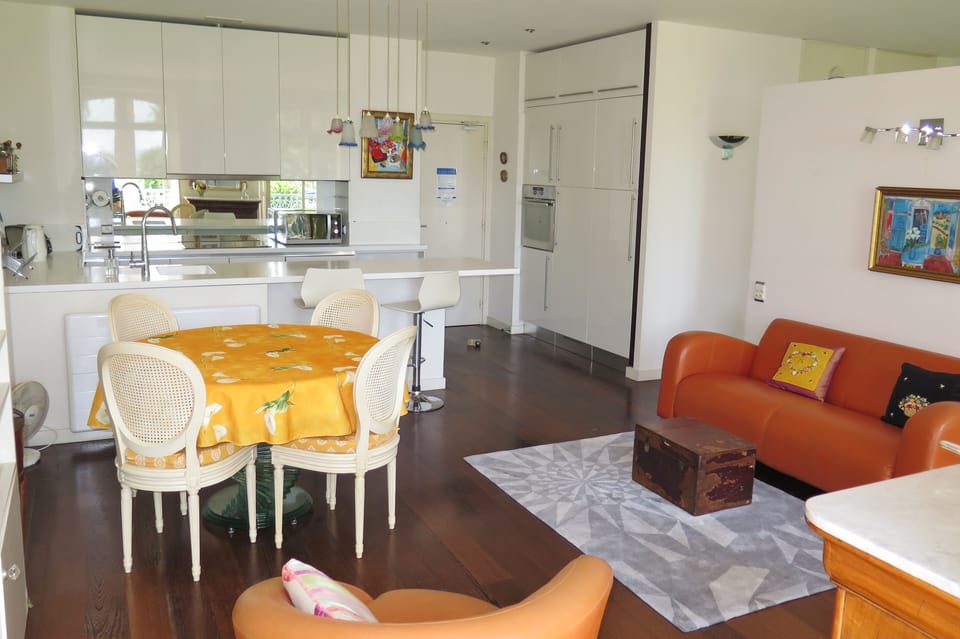 Living room and kitchen