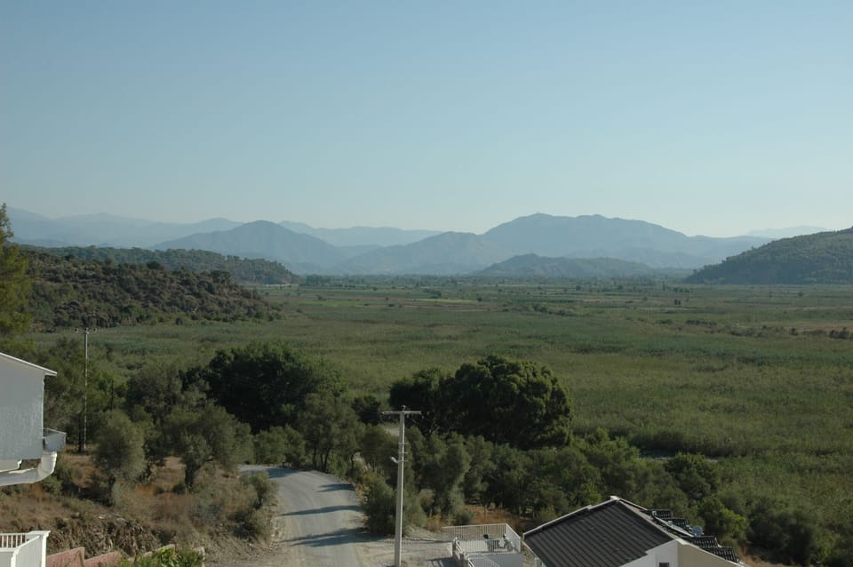 View from the Master bedroom