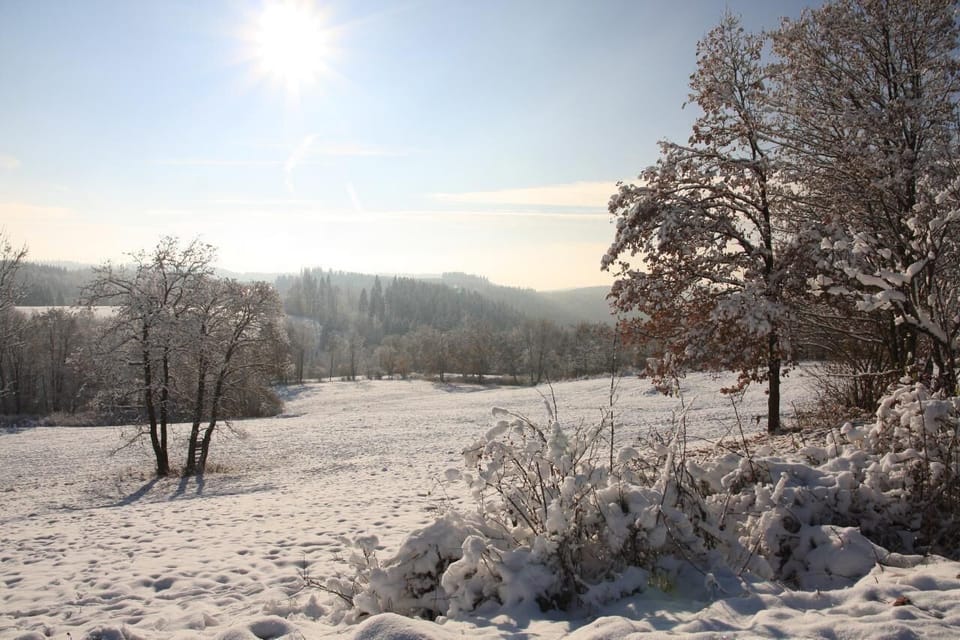View into the Bärenbachtal