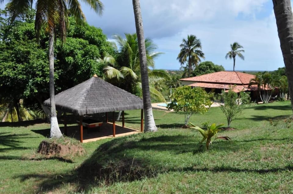 Overview