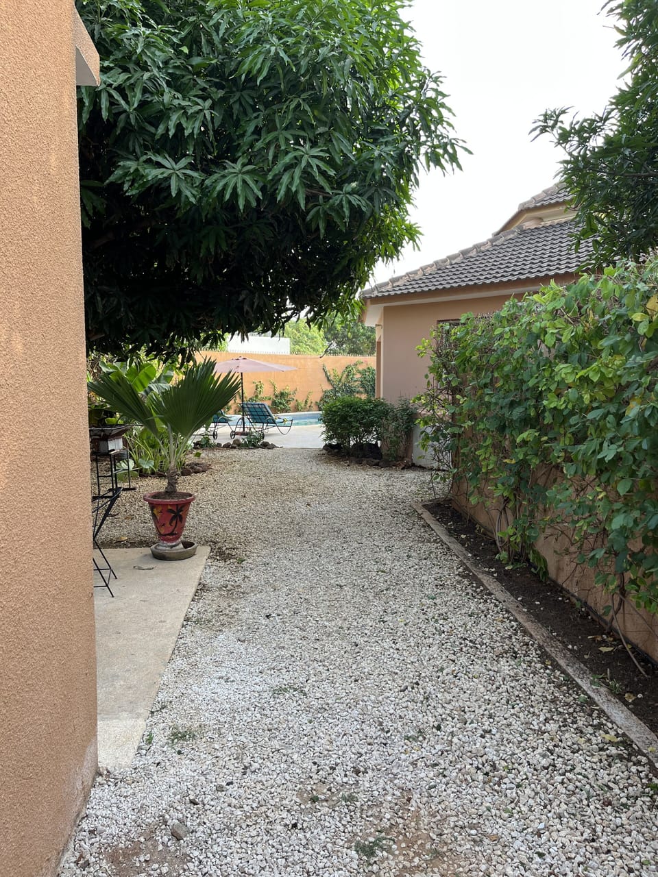 Terrace/patio
