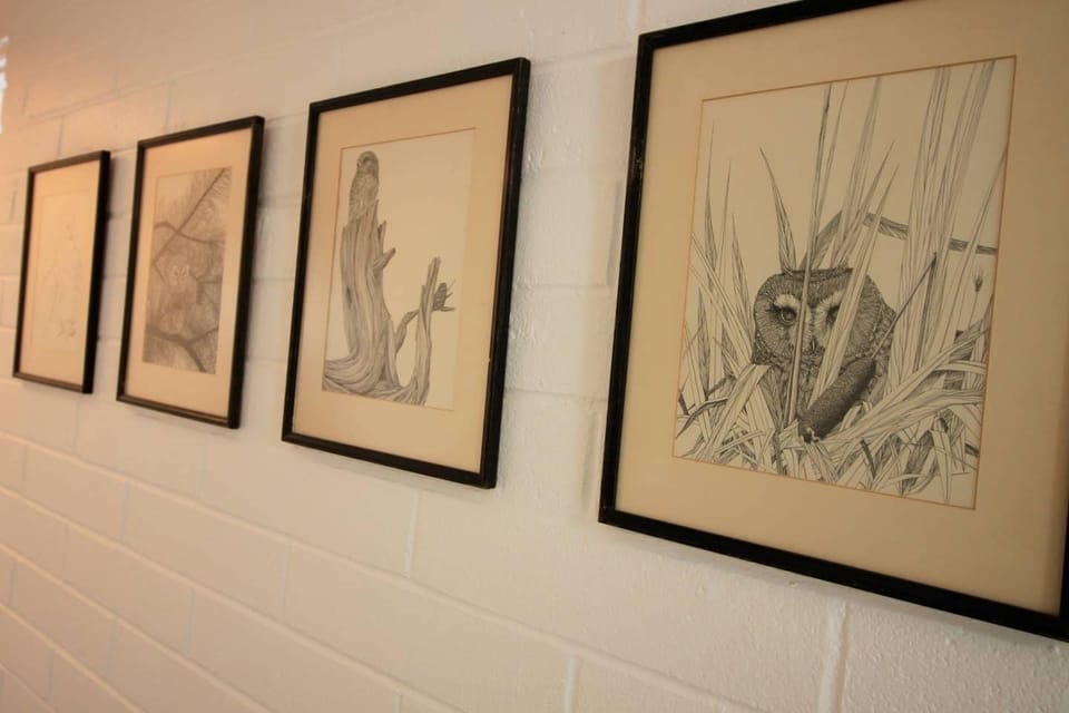 We sometimes have owls in the trees outside but they are always in the hall.