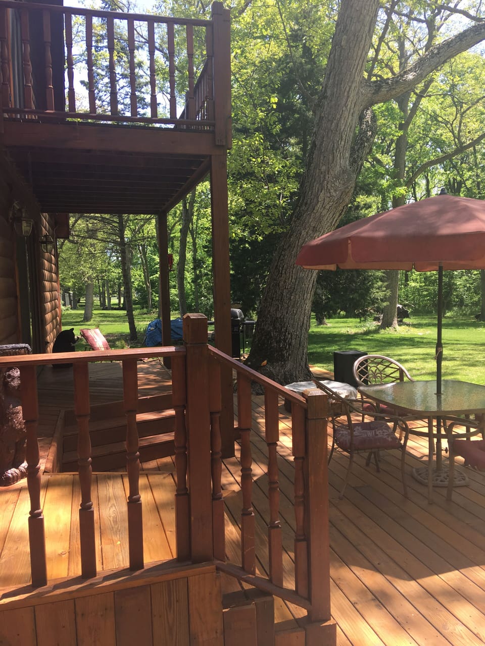 Back Patio