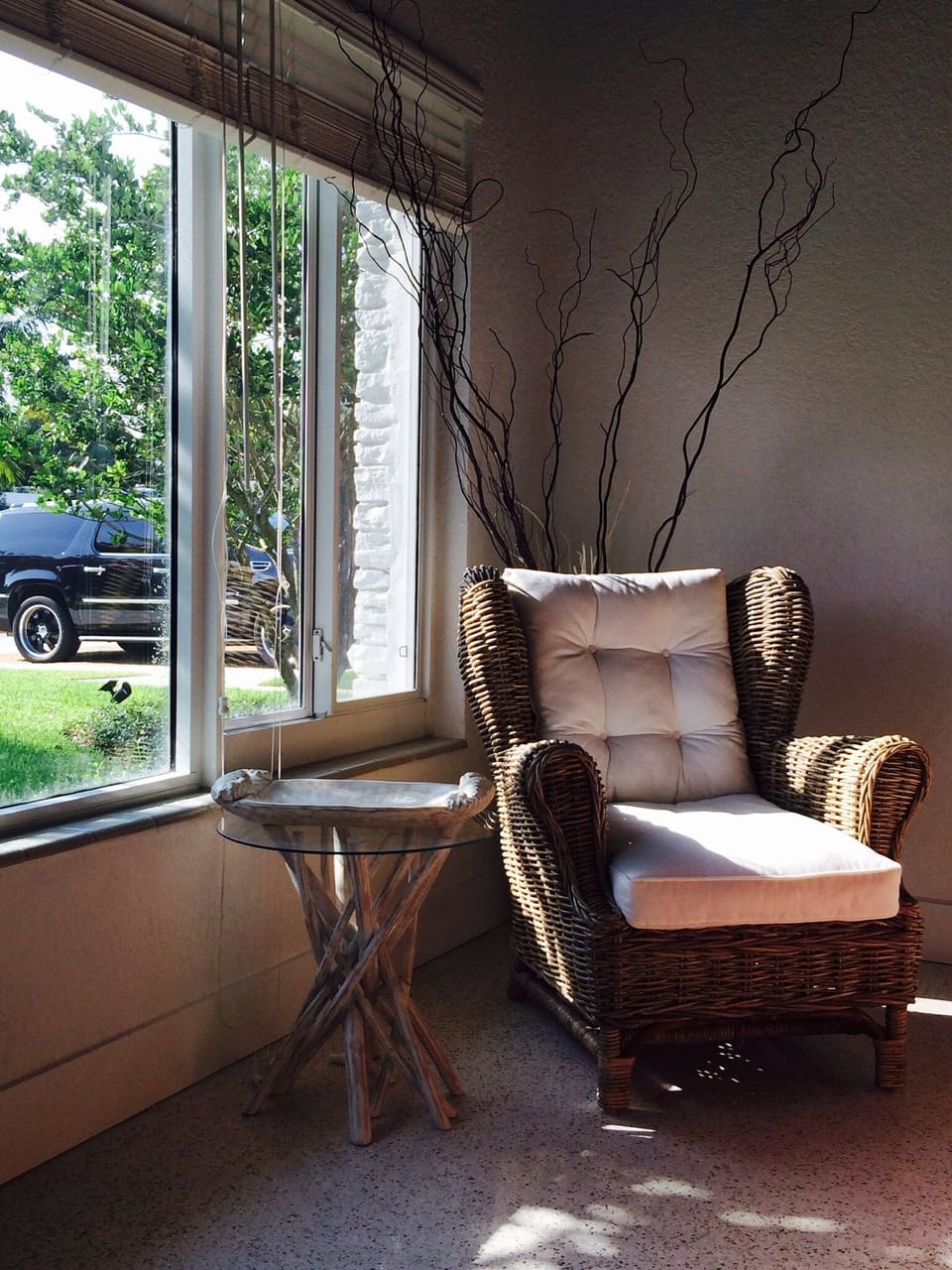 Just the spot for reading a book in a natural setting