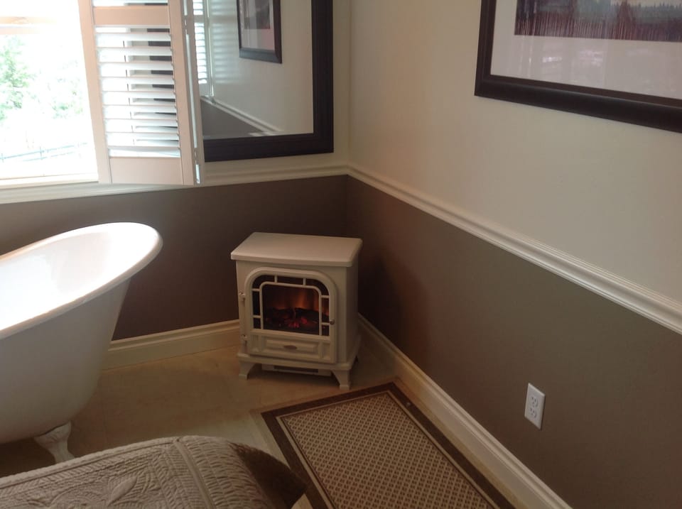 Electric Heater/Fireplace in Master Bedroom.