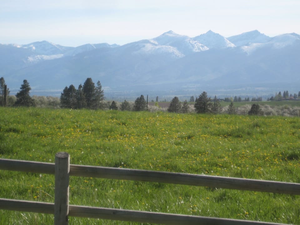 View of Bitterroot Mountains across yard fence