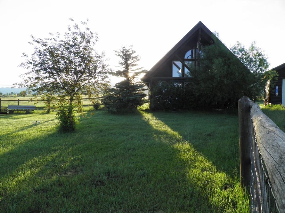Front yard in Summer