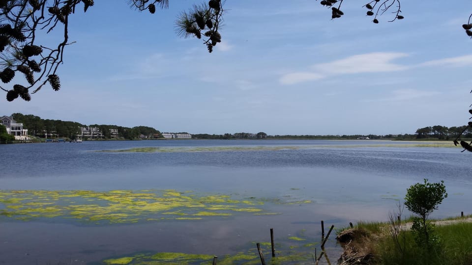 Salt Pond