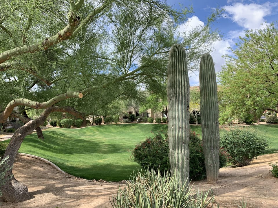 Walkway in the complex