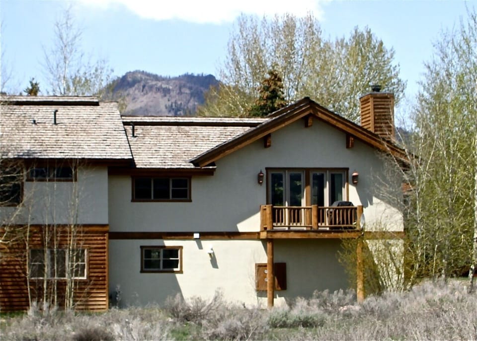 Rear view