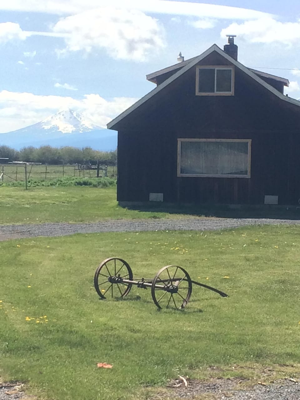 Front Yard. Mount McLaughlin in the background.