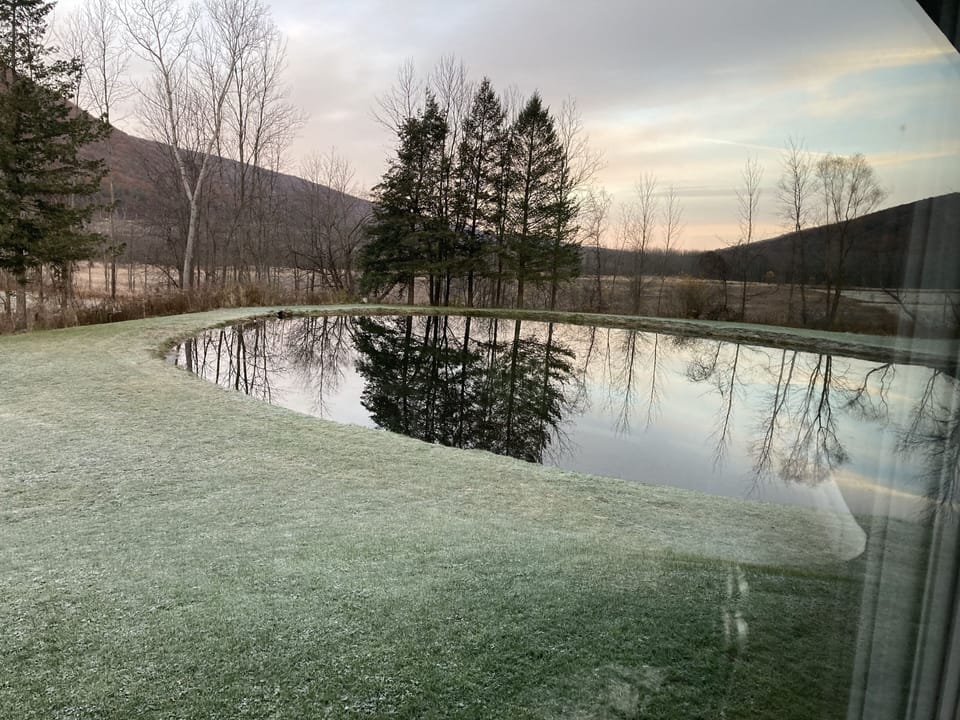 View from property