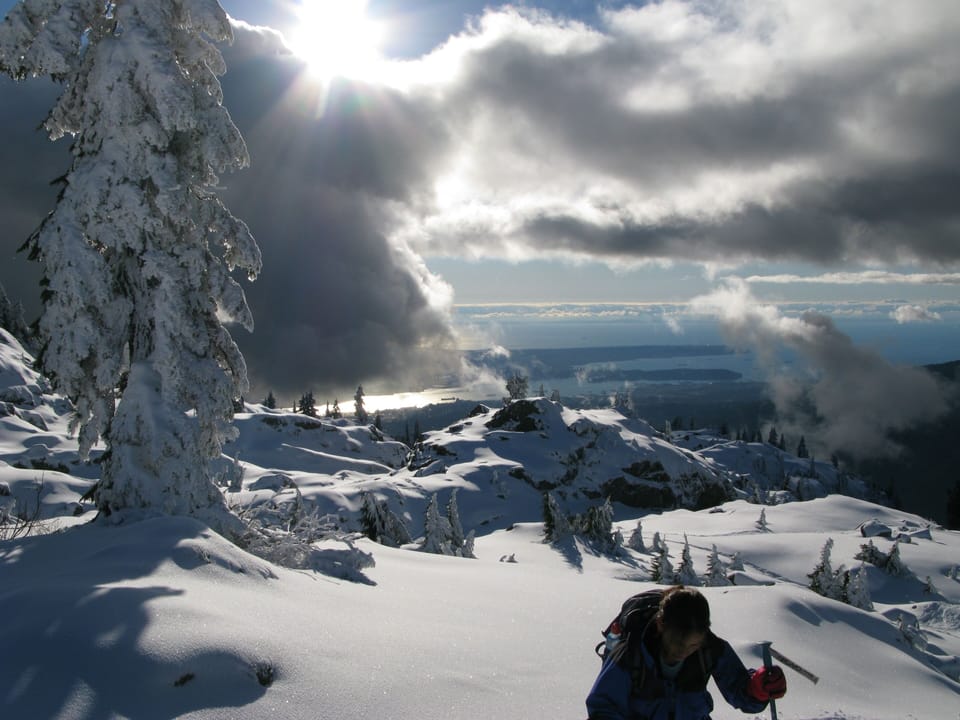 Top of Mount Seymour is a 25 minute drive. Ski in winter, hike & bike in summer!