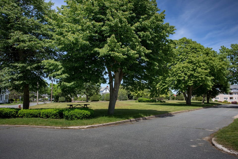 Park at Rear of House
