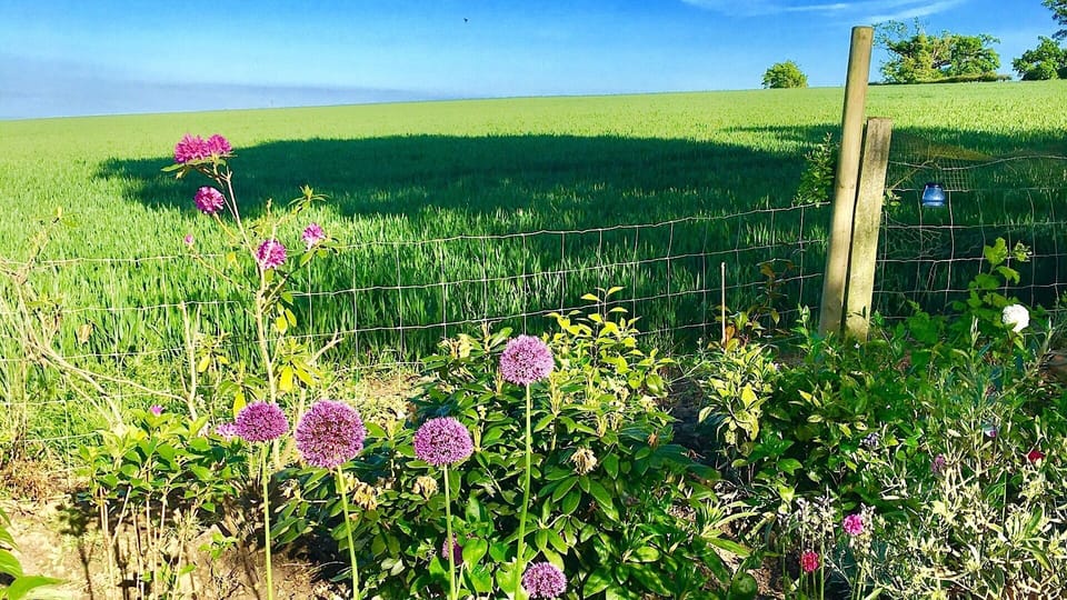 Views from garden last September 