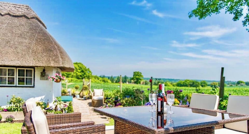 Wine time in the garden 