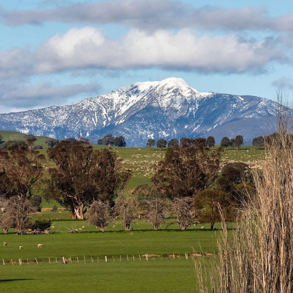40 kms to base of Mt Buller
