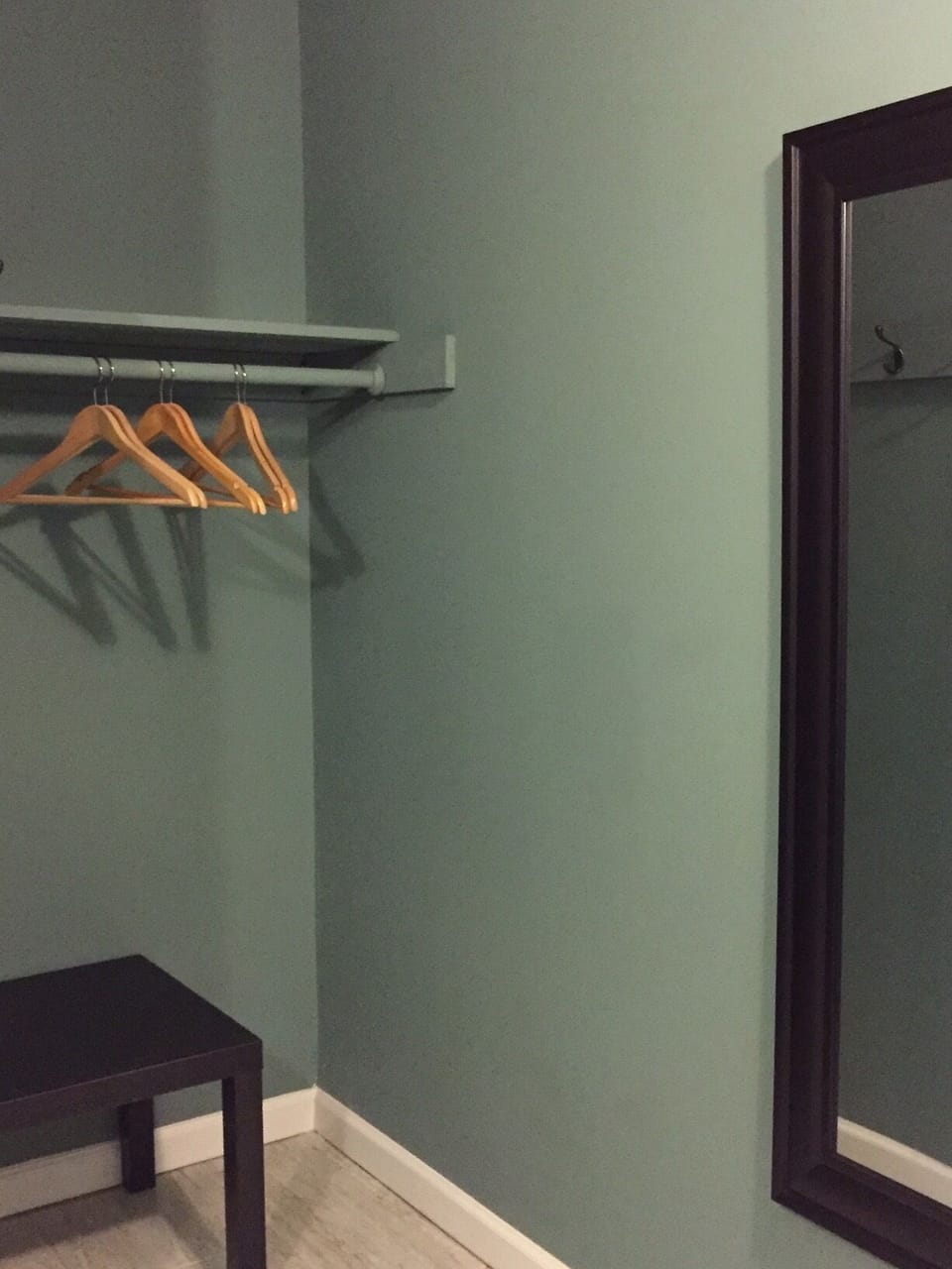 Master bathroom, built-in closet with full length mirror to help you dress