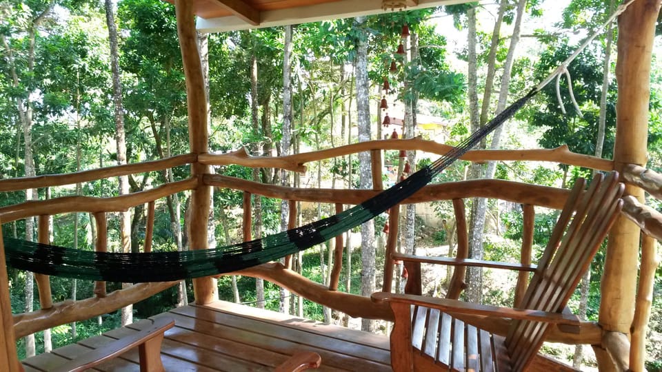 Relax or read a book in a hammock among the tree tops