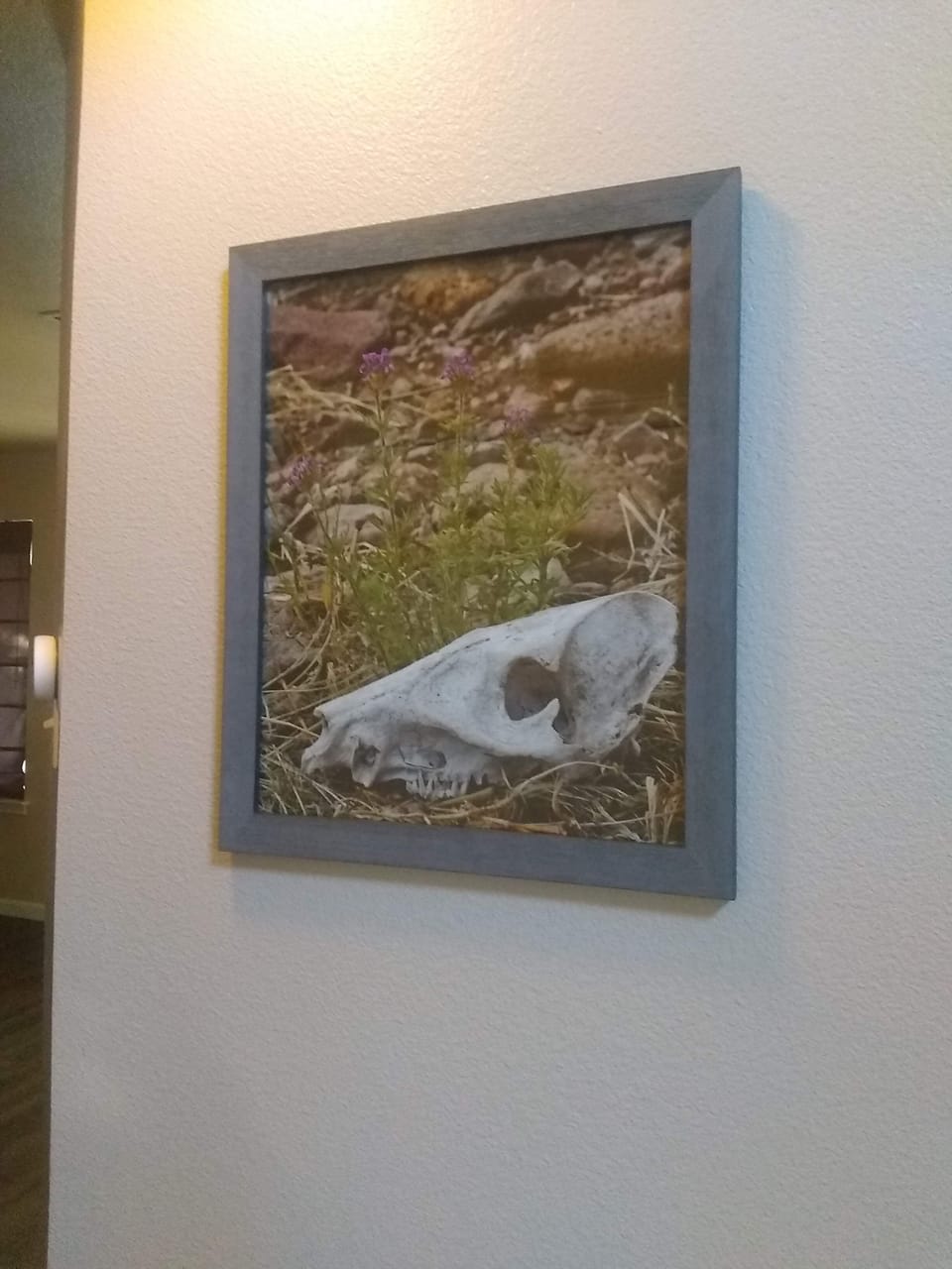 We have several one of a kind pieces from a local photographer. 
