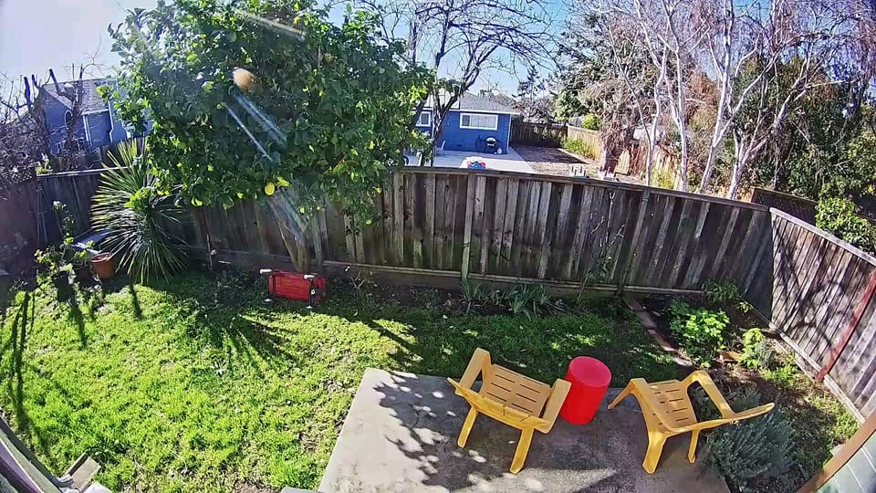 Backyard