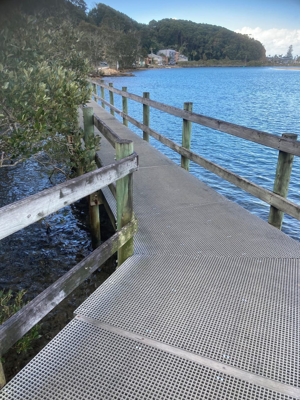 Boardwalk through the Mangroves to the V Wall commences from near the apartment
