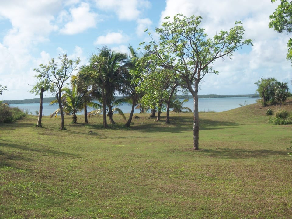 View from the front patio